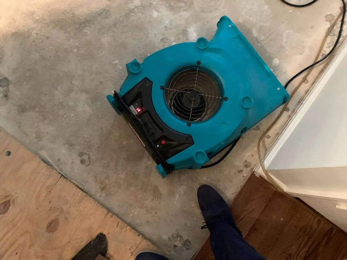 Air mover drying subfloor during Leak Detection & Repair in Justin